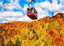 [HCM] Tour Nhật Bản Khám Phá Hokkaido Mùa Thu 6N5Đ